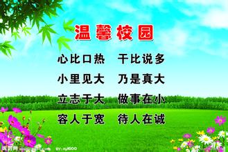 作文,義賣(mài),初中,書(shū)籍