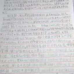 關(guān)于校園夏天的獲獎(jiǎng)作文1000字