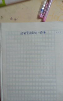 美麗的校園的作文450字作文怎么寫