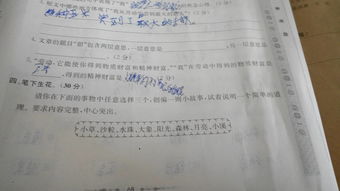 校園里最開心的事情作文600字作文怎么寫