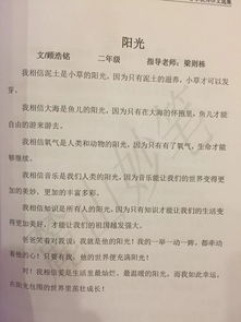 當校園歌手大賽的觀眾作文