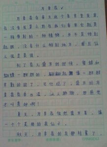 作文,四級,植物,美麗