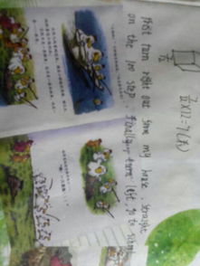 可愛的校園我的家作文600字,可愛的校園三年級作文,可愛的校園300字作文