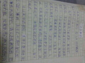 國學(xué)走進校園作文