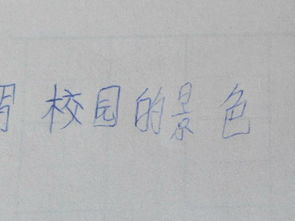 以我的校園為題的作文350字作文怎么寫