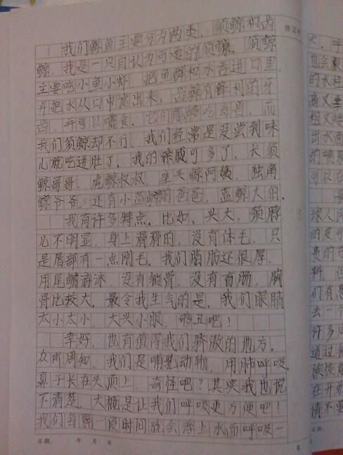 我校園藝術節(jié)作文1000字