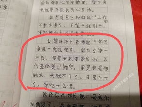 寫在校園里奮斗的作文