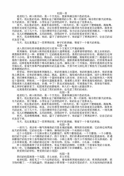 小學生描寫觀察校園里的景物作文三百字