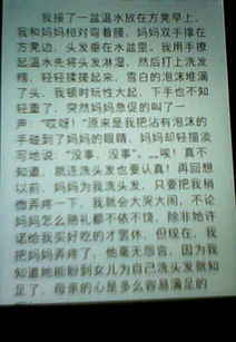 我的校園作文三級中300字作文怎么寫