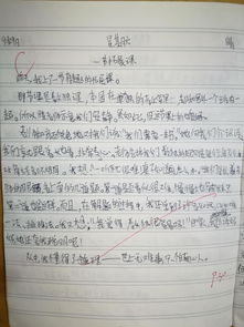 有關(guān)我青春我成長(zhǎng)的校園作文