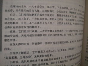 校園的菩提樹600字作文