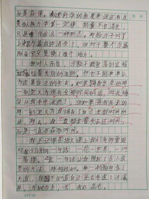 贊美校園的作文小學