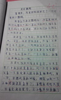 校園內(nèi)發(fā)生的關(guān)于愛的作文三百字