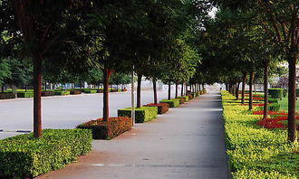 作文映象校園