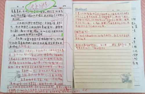 作文,最美,家鄉(xiāng),校園