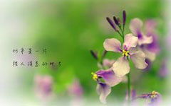 小學語文作文校園的春天