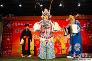 京劇進校園活動作文