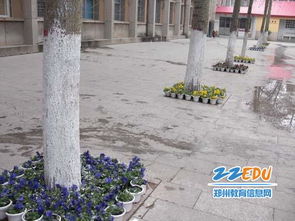 綠化美化校園的標(biāo)語,綠化美化校園的手抄報,綠化美化校園環(huán)境內(nèi)容