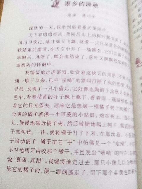 初中校園風(fēng)景線作文600字