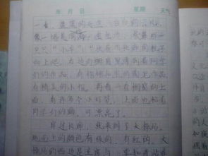 校園一角400字作文移步換景