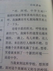 一篇寫校園生活的作文400字