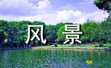描寫校園景色優(yōu)美作文6