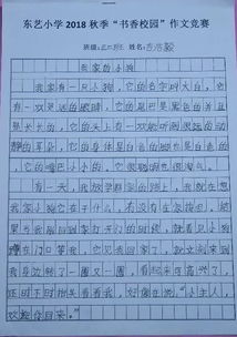 校園的四級作文500字,校園的四級作文400字左右,校園的四級作文400字
