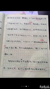 在校園幫助同學(xué)的作文開頭結(jié)尾怎么寫