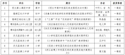 校園足球節(jié)的作文400字