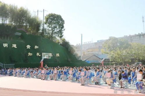 作文,文化活動,法治,校園