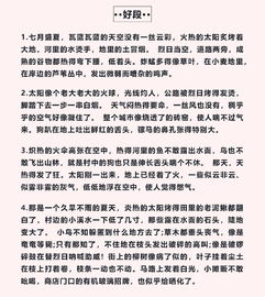 關于校園作文的好句好段