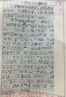 關于校園的地方很美的作文開頭