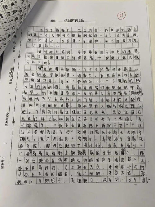 溫暖的校園的作文600字初一作文開(kāi)頭和結(jié)尾