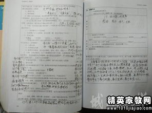批改,作文,評(píng)語,校園