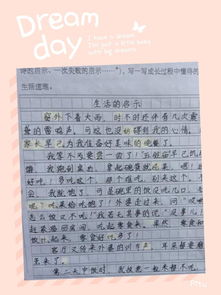 作文,六級,校園內,活動