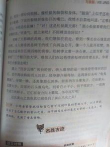 校園風景美初中作文800字