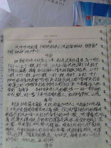 作文,四級(jí),風(fēng)景線,未來