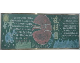 夏季最美校園高中作文800字