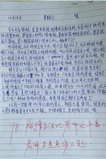 校園生活苦與樂500作文