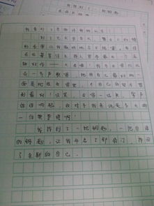校園的花園這篇作文怎么寫