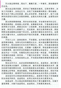 陽光校園優(yōu)秀作文800