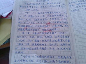 作文,開頭,校園