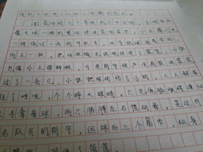平安校園作文一等獎(jiǎng)500字,平安校園作文一等獎(jiǎng)范文大全,平安校園作文500字