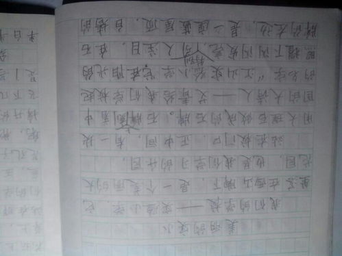 我的校園移步換景作文400字,我的校園移步換景的寫景作文500字,校園作文移步換景