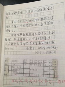 作文,愛護(hù),校園