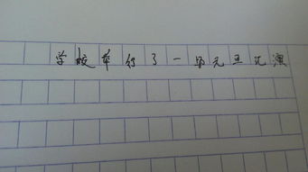 作文,校園里,一場雪