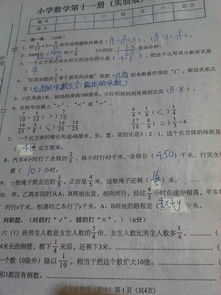 幸福校園六級(jí)作文