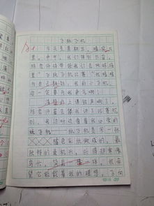 作文,難忘,校園