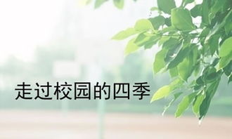 校園的四季作文開頭