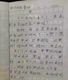 校園生活第三人稱作文